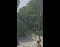 Two girls tiktok dance sand palm trees