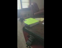 Pet dog bites plastic utensils and told to drop by owner