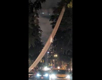 Scaffolding net blown into tree after storm