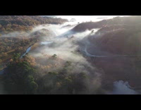Nature trees drone shot in morning sunrise