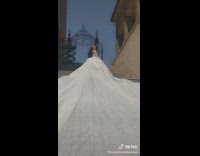 Big wedding dress
