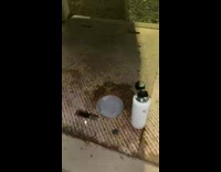 Guy pours water friend jumps down from above 