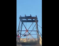 Lady hangs upside down on rooftop