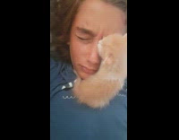 Kitten sniffing sleeping kids face