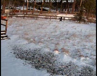 Delivery guys throws box at back yard