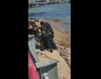 Guy resisting arrest from officers on beach