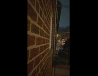 Woman says hi to raccoon neighbor 