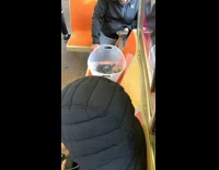 Collab WINY - Bucket of water with two turtles subway