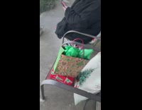 Girl tells mom eminem died reaction prank