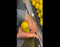 Collab BitchIG2 - Women holding hands with a lemon