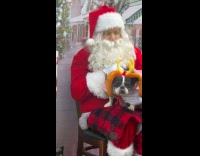Santa takes photo with pets on grotto part 2