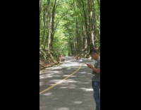 Tourists almost get run over for photo 