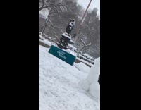 Large penis shaped snowman at union square 