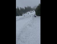 Father and daughter slide into the fence