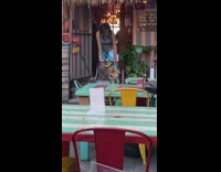 Girl stroller two cats restaurant blue pants 