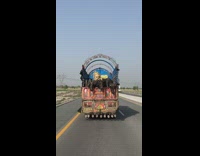 Truck Carries Cows Passed in Expressway Road