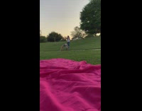 Girl striped sleeves bend pose park grass