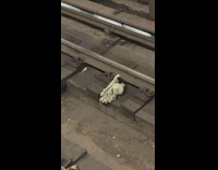Skeleton halloween decoration dropped on subway tracks 
