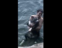 Collab BitchMP - Dog screaming and crying held in water 