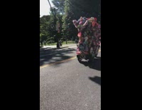 Red bicycle covered in toys american flags 