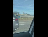 Guy rides bicycle decorated like blue dragon 