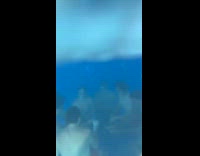 Lifeguards does meeting under the pool 