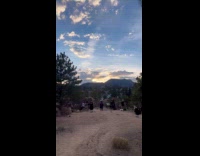 Women Halloween costumes sexy poses at park