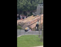 Girl takes a picture at Disneyland