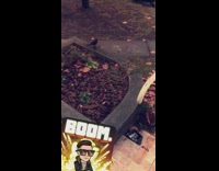 Guy throws burning cigarette bud at bird