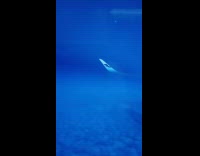 Plane view blue sky look like underwater