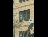 Guy drives by toy stuck on window 