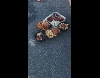 Denim shirt girl squats photographs food burgers