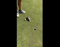 Turtle putts ball into the cup