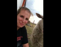 Woman scratch head of pet sheep farm