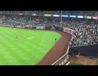 Cat interrupts baseball game runs around field pt. 2