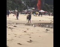 Large fire on beach black smoke newport 