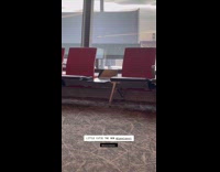 Mouse roams around airport under the chairs