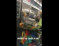 Person brings petting zoo to subway 