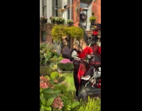 Dressed up skeleton Halloween decoration on yard