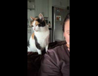 Collab Clips MPUGC - Cat gives hooman affection when she sings 
