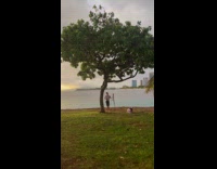 Man sings with tripod beside tree park