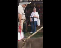 Collab BSMedia - Strangers react to huge American Bully dog