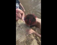 Hungry shirtless guy takes bite of cliff 