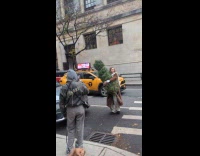 Woman with tree poses  middle of street