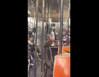 Two birds on stroller inside the train