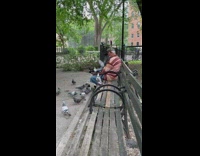 Guy on park bench has pigeons surround him 