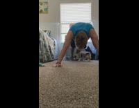 little dog under man with blue shirt push ups