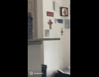 Guilty dog in trouble for going through trash 