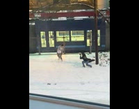 Guy cardigan white shirt trains lights snow