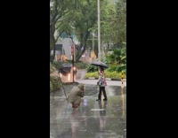 Woman printed coat jump shot umbrella rain